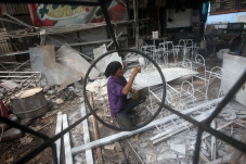 Permintaan Tanaman Hias...