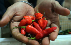 Sabar ya Bun, Harga...
