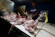 Kenaikan Harga Daging...