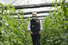 Ridwan Kamil : Agrobisnis...
