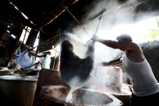 Harga Kedelai Mahal,...