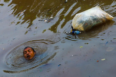 Mencari Cacing Sutera...