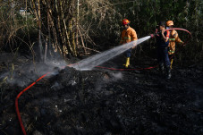 Kebakaran Lahan di Madiun