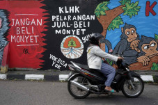 Mural Tolak Perdagangan...