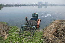 Pembersihan Sampah di...