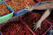Pasokan Berkurang, Harga...