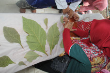 Pelatihan Keterampilan...