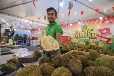Sensasi Makan Durian...