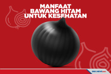 Sudah Pernah Coba Bawang...