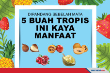 Kaya Manfaat, 5 Buah...