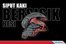 Mahkluk Bersisik Besi...
