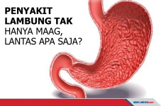 Penyakit Lambung tak...