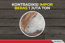 Kontradiksi Impor Beras...