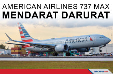 American Airlines 737...