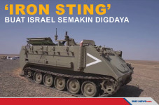 Iron Sting, Mortir Berpemandu...