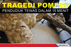 Mengerikannya Tragedi...