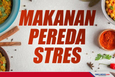 Kumpulan Makanan Pereda...