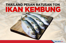 Thailand Pesan Ikan...