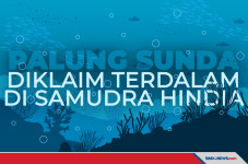 Palung Sunda Jadi Palung...
