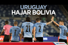 Copa America 2021: Edinson...