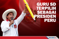 Pedro Castillo, Guru...