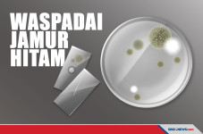 Menginfeksi Ribuan Orang,...