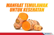 Manfaat Temulawak untuk...