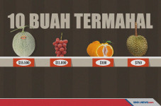 Buah-Buahan dari Asia...