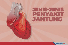 Mengenal Jenis-Jenis...