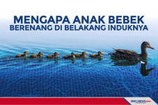 Rahasia Mengapa Anak...