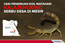 Usai Penemuan Kuil Matahari,...