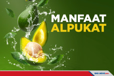 Alpukat Tak Hanya Turunkan...