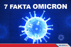 7 Fakta Menarik Tentang...