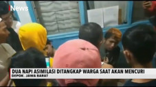 Dua Napi Asimilasi di...