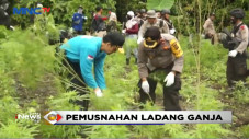 Petugas Gabungan Musnahkan...