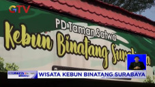 Kembali Dibuka Kebun...