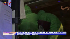 Seorang Penumpang Bus...
