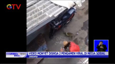 Seekor Monyet Disiksa...