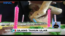 Sebuah Keluarga di Sidoarjo...
