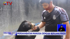 Phadil dan Gaston, Persahabatan...