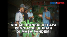 Kreasi Bonsai Kelapa...