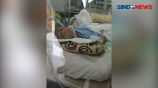 Sempat Dikabarkan Kritis,...
