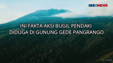Ini Fakta Aksi Bugil...