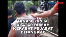 Tanam Ganja di Atap...