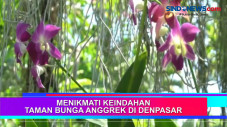 Menikmati Keindahan...