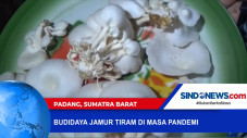 Pasutri di Padang Sukses...