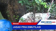 Penemuan Jazad Mutilasi...