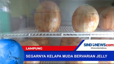 Kelapa Muda Varian Jelly...