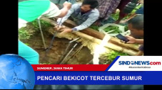 Pencari Bekicot Tewas...