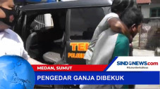 Pengedar Ganja Dibekuk